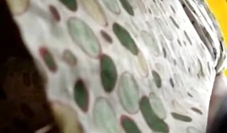 Vruća striptizeta jaše debeo penis filmeporno hd