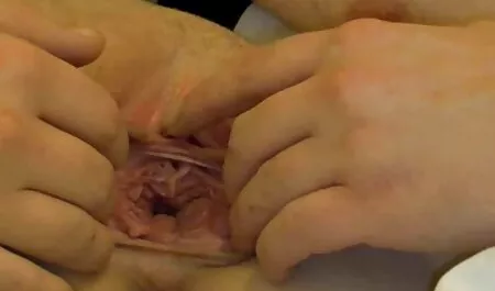 Seksi beba se jeba u muškoj sobi filme porn