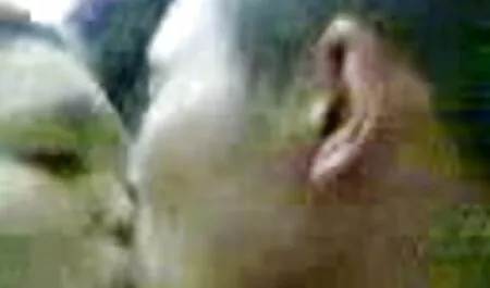 Lijepa brineta filmeporno cu travestiti Ariana Marie zavela je brata svog dečka