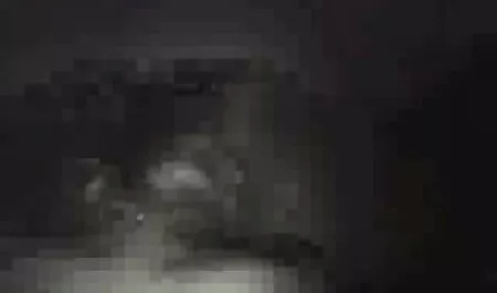 Ona je filmeporno gratis online revno sisa, gutajući kurac do kraja i dodatno jačajući položaj, ovaj član je uronio u njenu vaginu